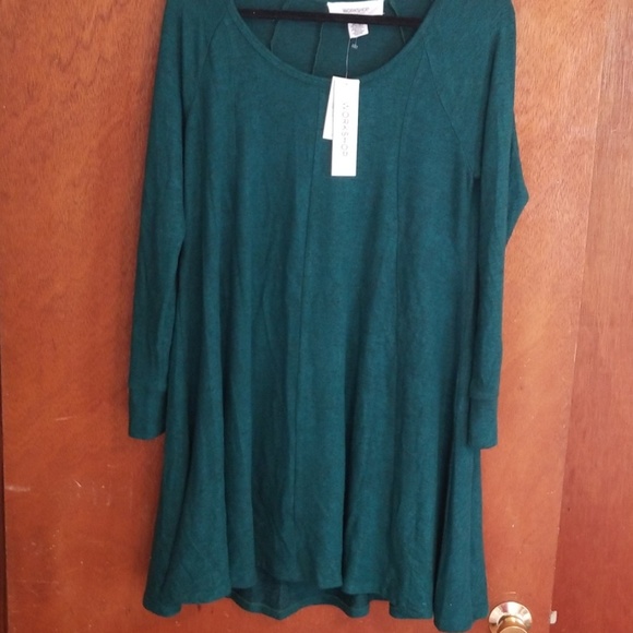 NWT Deep green short dress by Workshop.  Sz XL - Picture 1 of 3